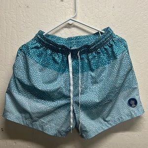 Chubbies 5.5” Shorts